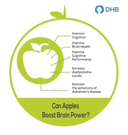 Apples as brain food Apples as brain food
