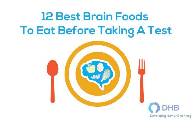 Best brain foods to eat before taking a test brain foods
