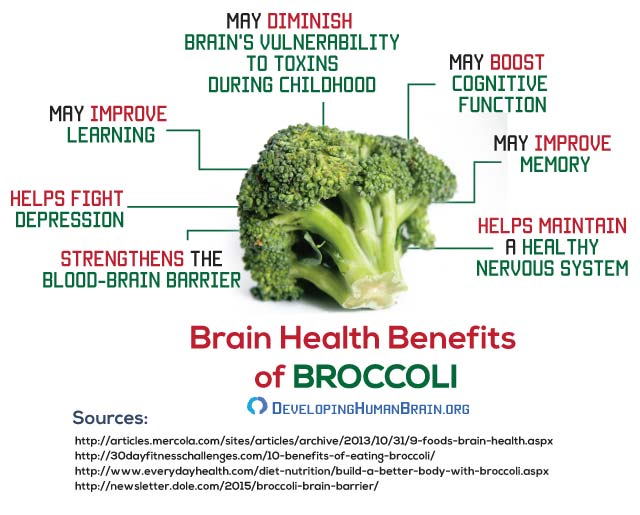 Cuanto tiempo se cuece el brocoli