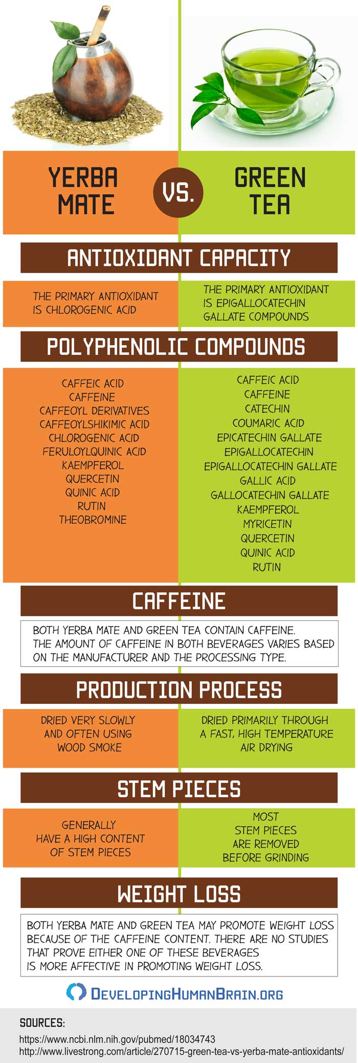 yerba mate drink benefits